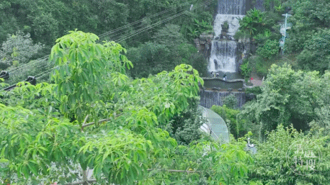 2.gif
