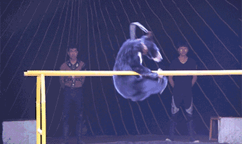 微信图片_20220804010246.gif