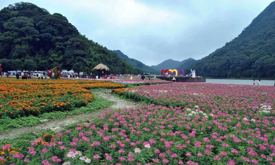 http://qnimg.zowoyoo.com/img/6247575/1733303502230.jpg 图片