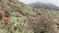 640?wx_fmt=gif&from=appmsg