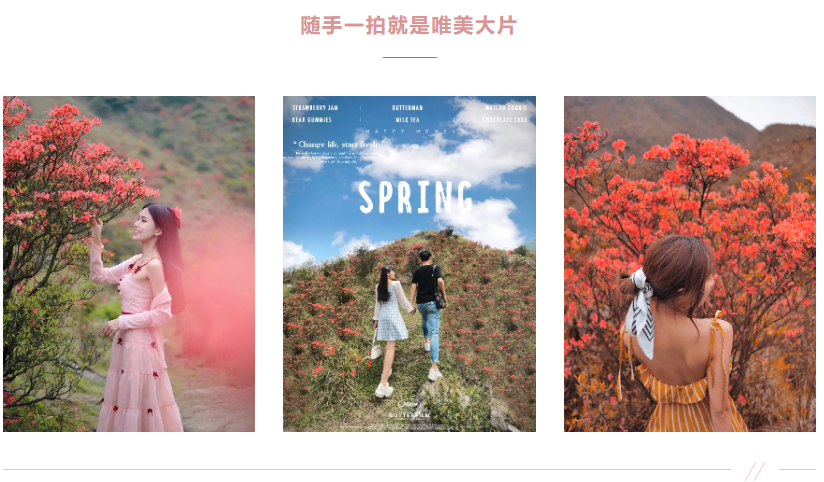d9017b340837dda5aa9aabb2d25d83e.png