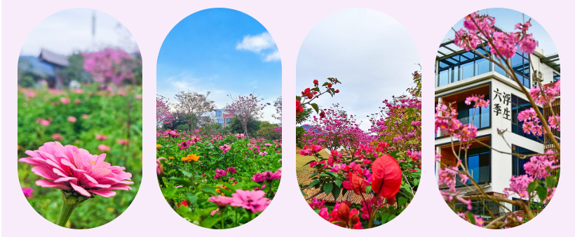 a5a05f47bd8e5b1eafae4cb28c584220.png