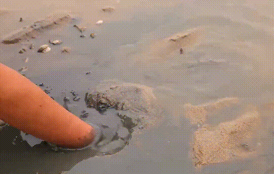 http://qnimg.zowoyoo.com/img/6247575/1779697063299.gif