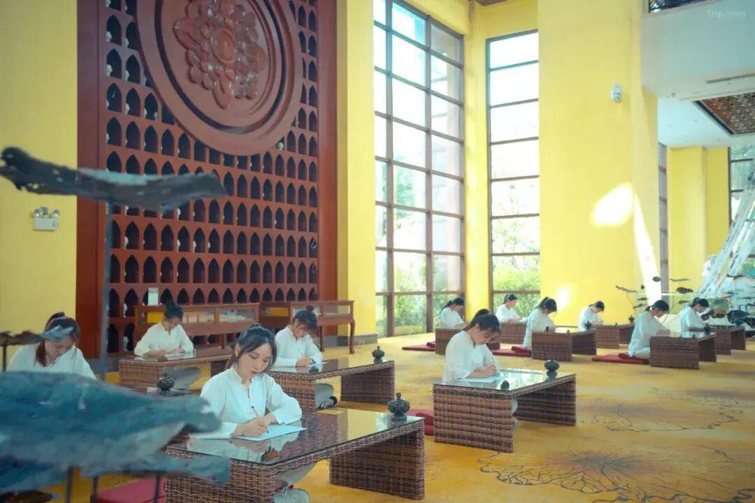 http://qnimg.zowoyoo.com/img/6247575/1780654488619.jpg 图片
