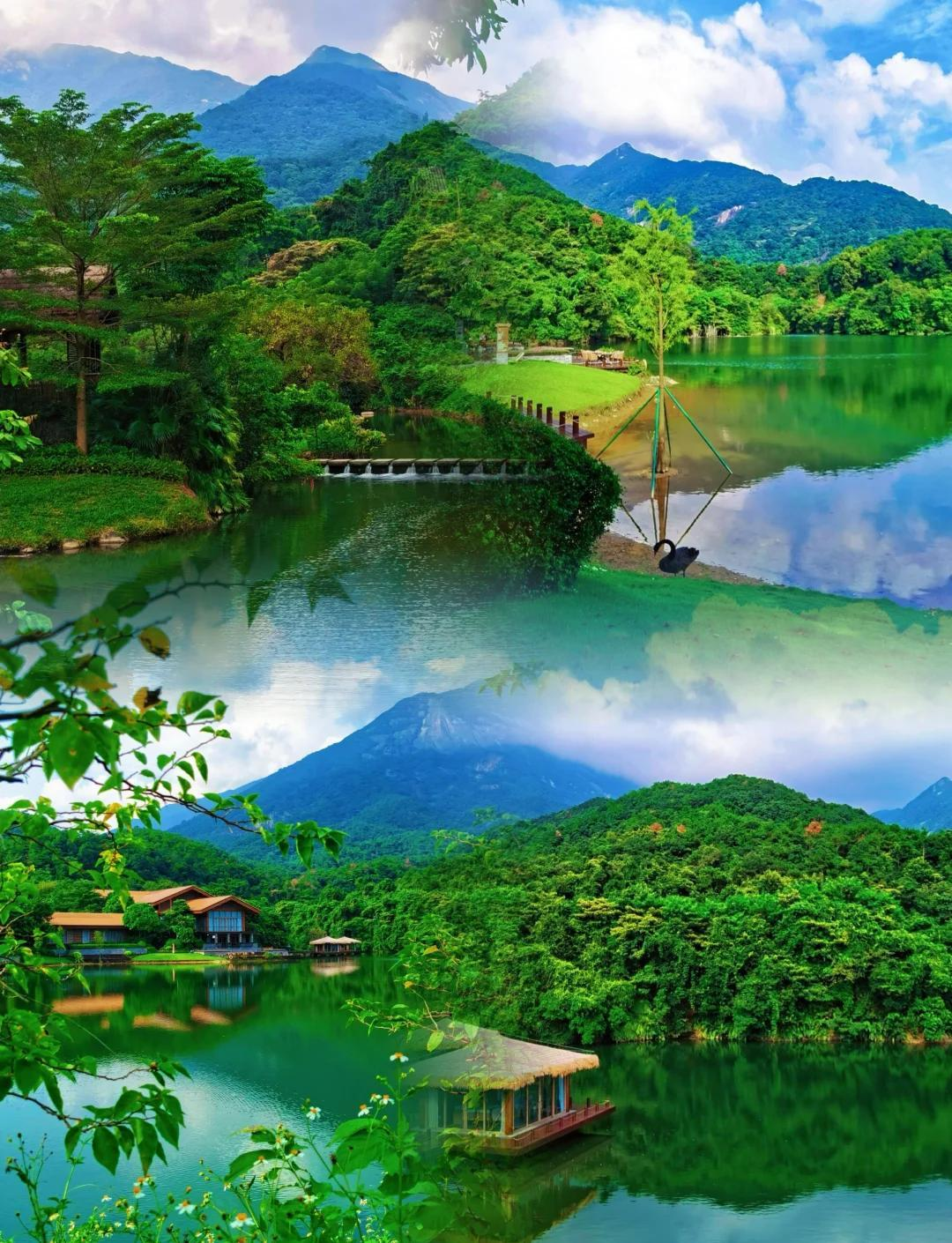http://qnimg.zowoyoo.com/img/6247575/1783061653856.png 图片