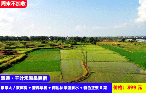 【清远·佛冈X千叶禾温泉民宿】全新装修下单享周末不加收！赠送价值158元豪华农家菜正餐！87℃汤塘泉眼真温泉，窗边泡温泉边赏田野风光！赠送2池泉眼直喷天然真温泉水！399元抢民宿豪华大/双床房+营养早餐+两池私家温泉水+特色正餐3菜+免费停车+管家服务，住进山河美景中，订两套升级2房1厅带自动麻将和KTV