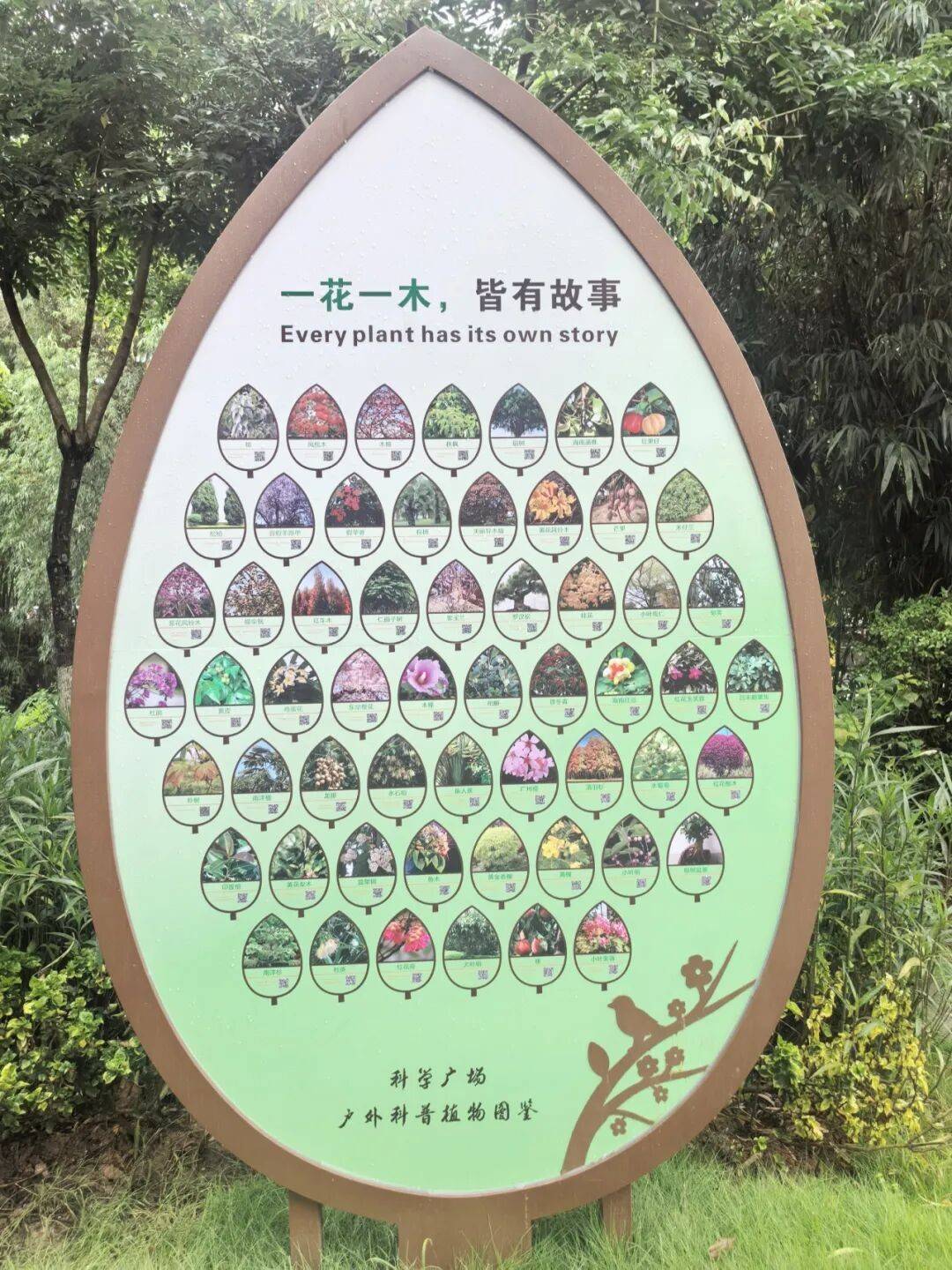 http://qnimg.zowoyoo.com/img/6247575/1789705171949.jpg 图片