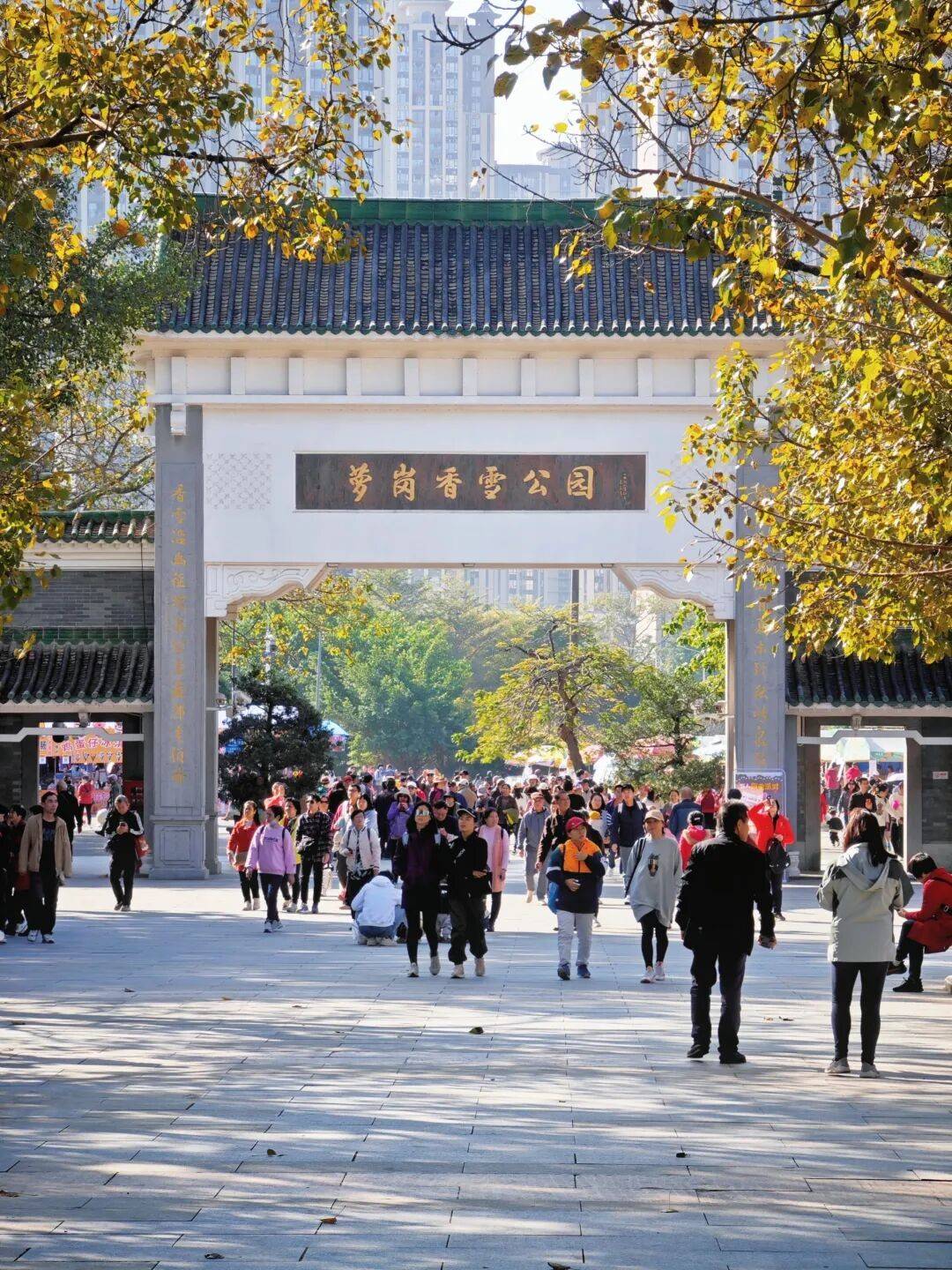 http://qnimg.zowoyoo.com/img/6247575/1789705229631.jpg 图片