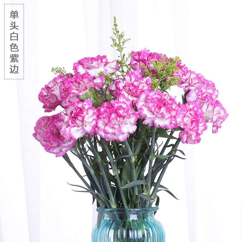【鲜花】康乃馨20朵39.9元包邮！三月女人节，送妈妈，装饰美家都好看