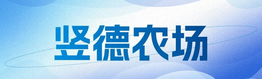 1743583298266.jpg 1743583298266.jpg