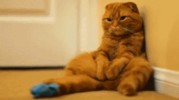 350_196gif 动态图 动图