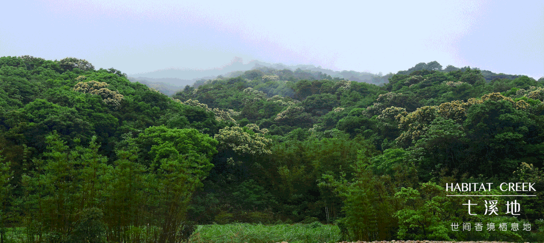 【清明可约｜广州世间香境七溪地】2大2小￥899起包三餐&吃住玩全含！住桃香洞房房/溪云豪华房+芳香自助早餐+香膳午餐+素食晚餐，享景区门票+非遗手作+儿童乐园+体验香房十香~沉浸式打卡香境栖息地，赏隐世美景！（售至26.12.30）
