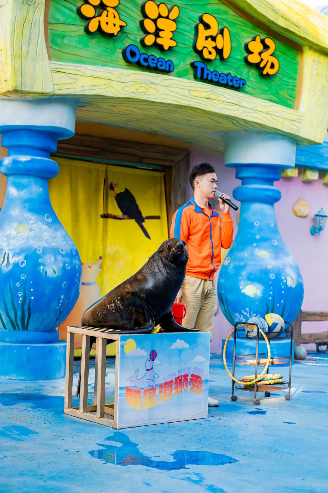 【7-8月特惠】广州融创国际马戏+明星动物园三人票，有效期7月1日-8月31日内入园一次