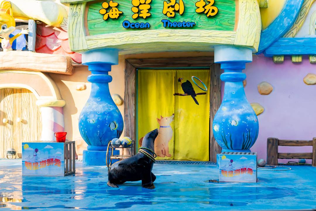 【7-8月特惠】广州融创明星动物园三人票，有效期7月1日-8月31日内入园一次