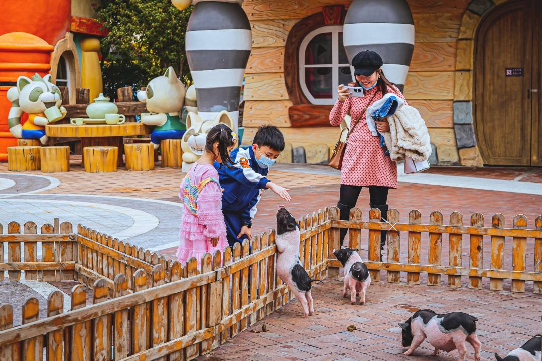 【7-8月特惠】广州融创明星动物园三人票，购买后次日-8月31日内入园一次