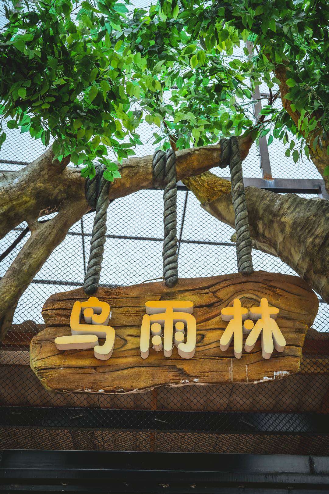 【限时特惠】广州融创欢腾国际马戏+明星动物园双人票（6月18-7月31）99元抢购