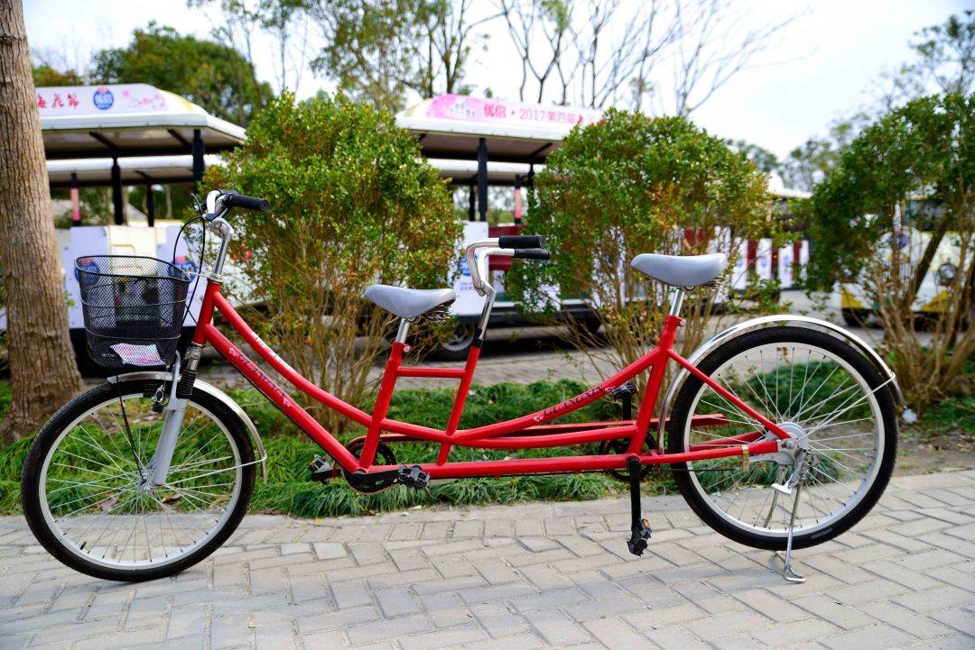 上海海湾森林公园自行车.jpg