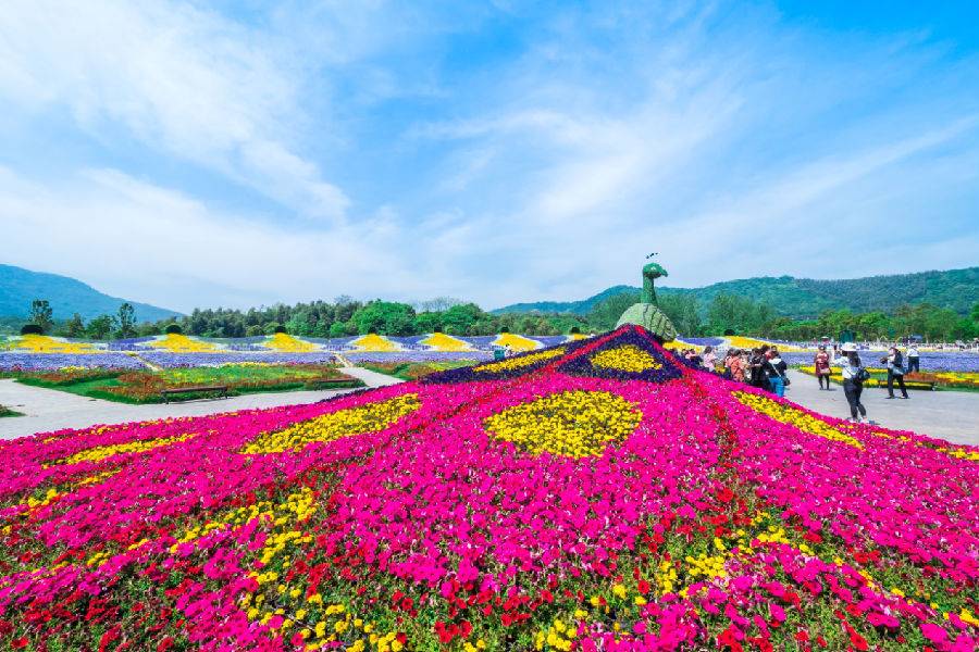 9元】金坛花谷奇缘 成人票(11.10-20日)指定日期有效