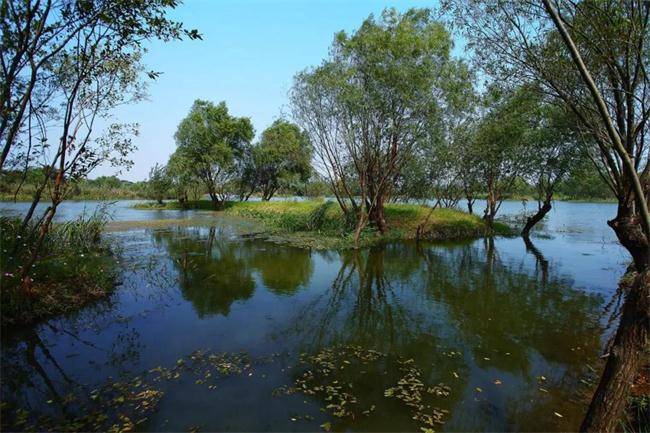 西栖湿地公园 杭州山沟沟风景区 江和美海洋公园 通天飞瀑布