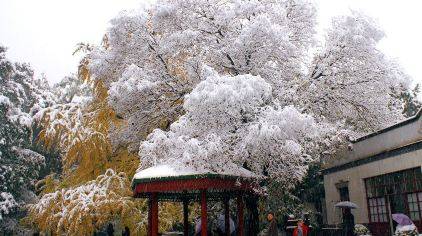 胡克鹏——雪色