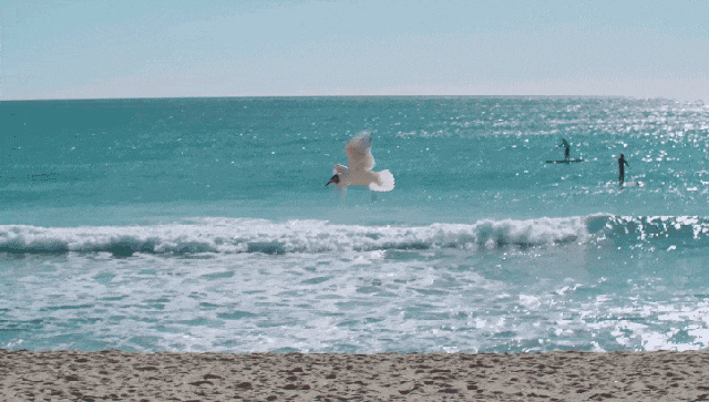 http://qnimg.zowoyoo.com/img/6247575/1721878915038.gif 222.gif