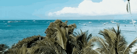 http://qnimg.zowoyoo.com/img/6247575/1721878967953.gif 微信图片_20221117082702.gif