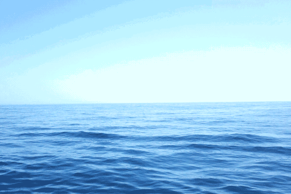 http://qnimg.zowoyoo.com/img/6247575/1715560976129.gif 图片