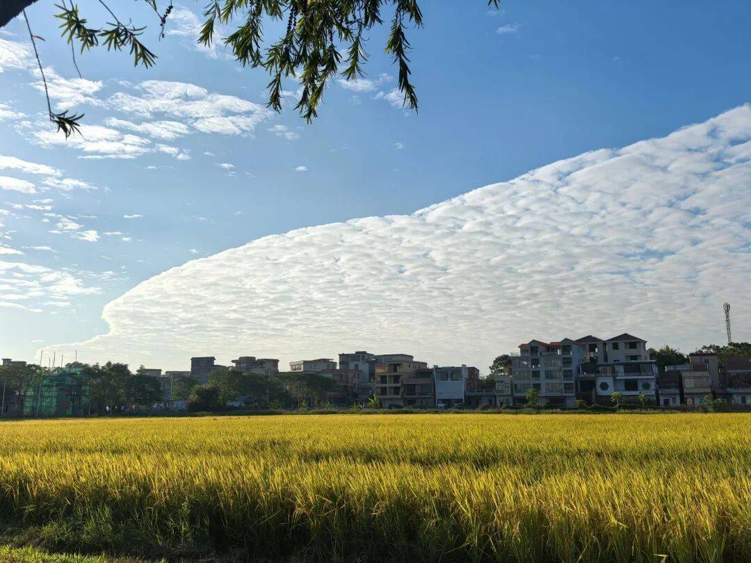 http://qnimg.zowoyoo.com/img/6247575/1770449399417.jpg 图片
