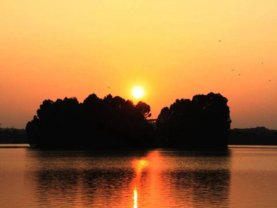 http://qnimg.zowoyoo.com/img/6247575/1770449455276.jpg 图片