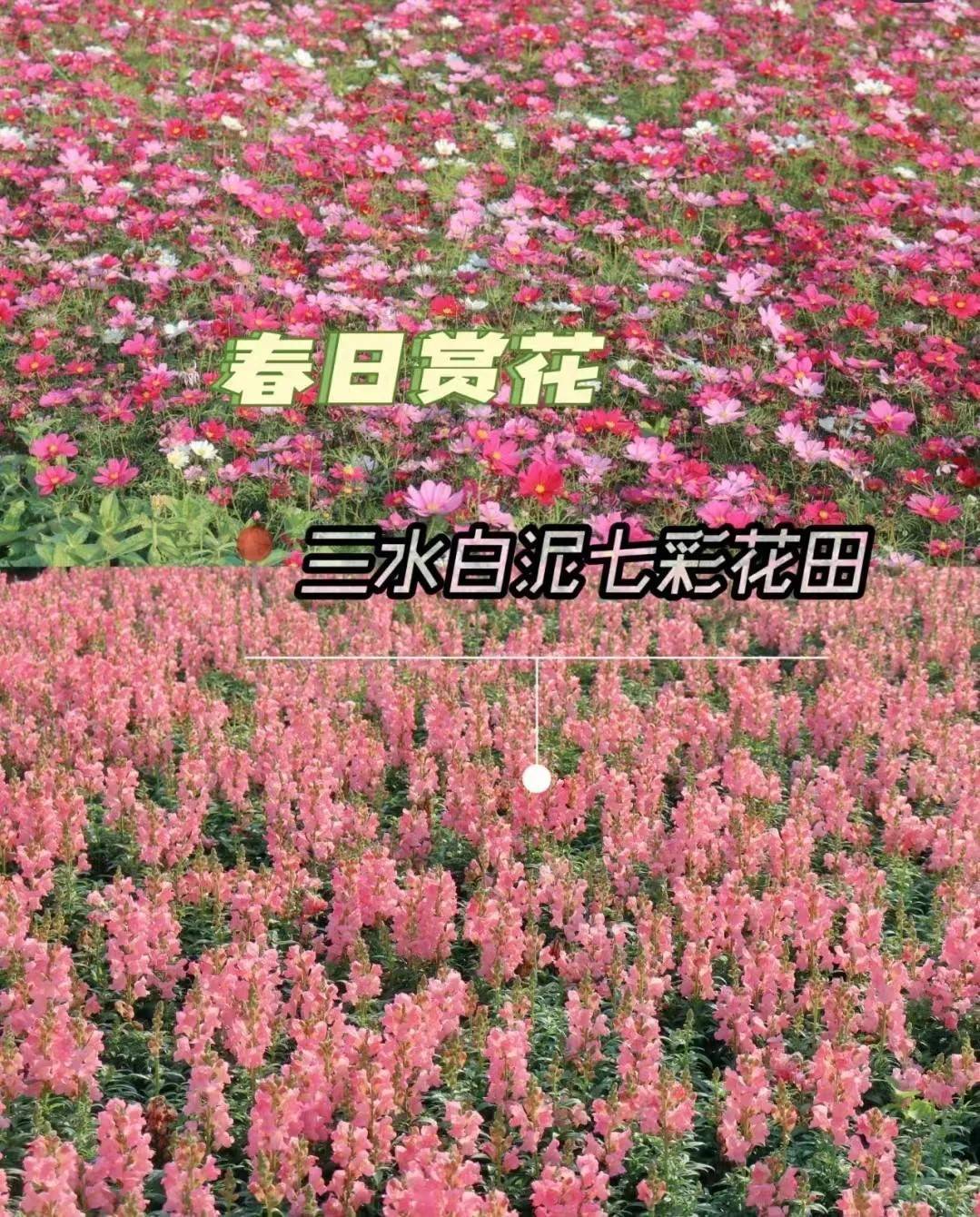 http://qnimg.zowoyoo.com/img/6247575/1712635865361.jpg