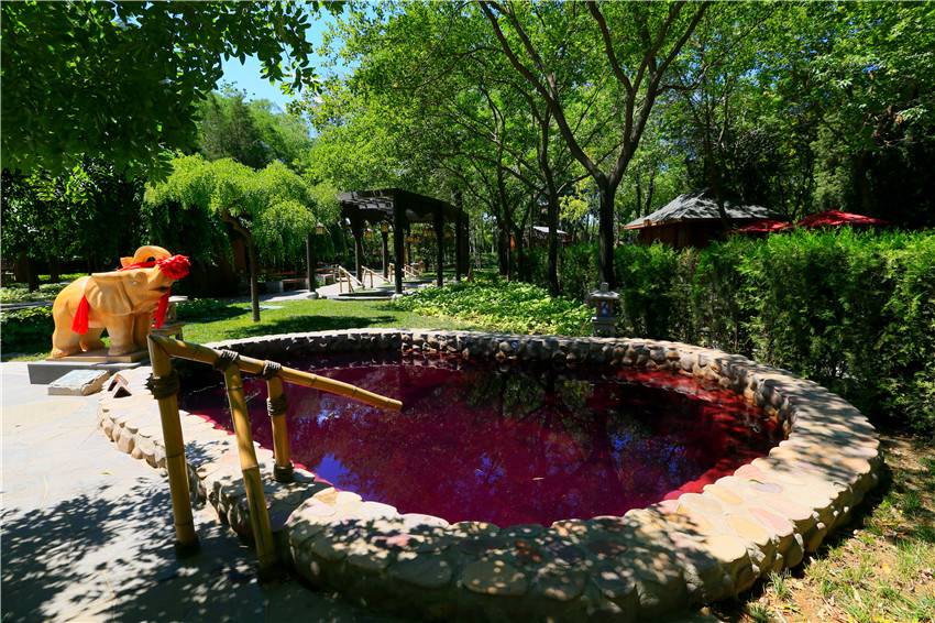 【双十一特惠】北京南宫温泉(民族温泉养生园/温泉水世界/江户温泉三