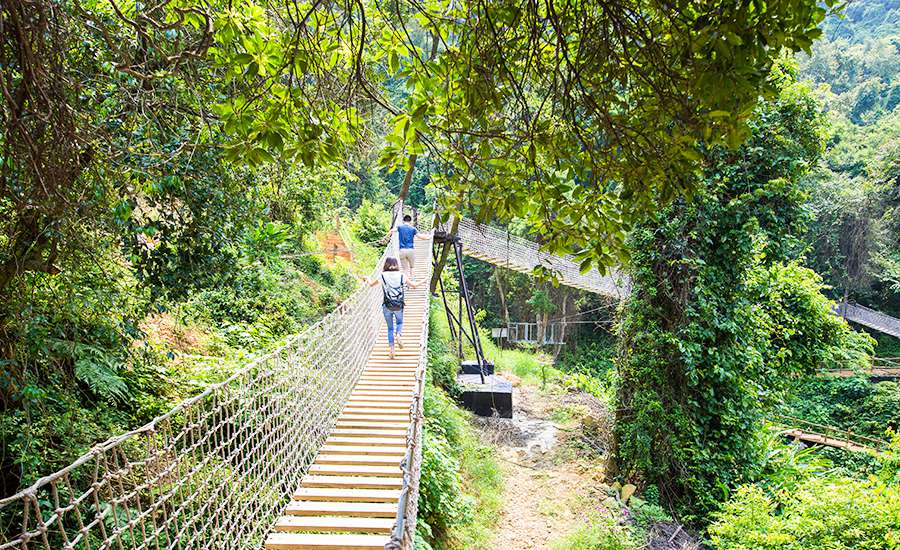 南丹山森林公园门票 高山玻璃桥 松鼠部落 森林剧场 七彩滑道 树冠