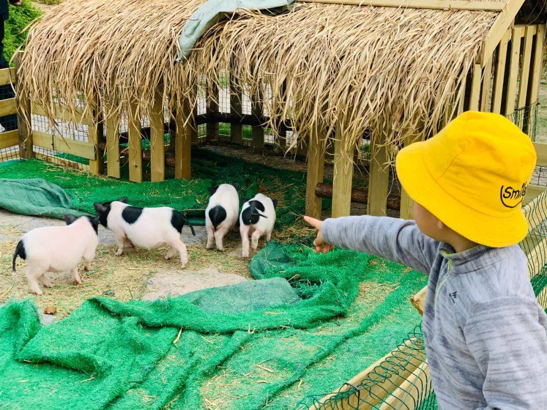 9元/一大一小,周末节假日通用 和普通动物园那种远距离"观察"动物不同