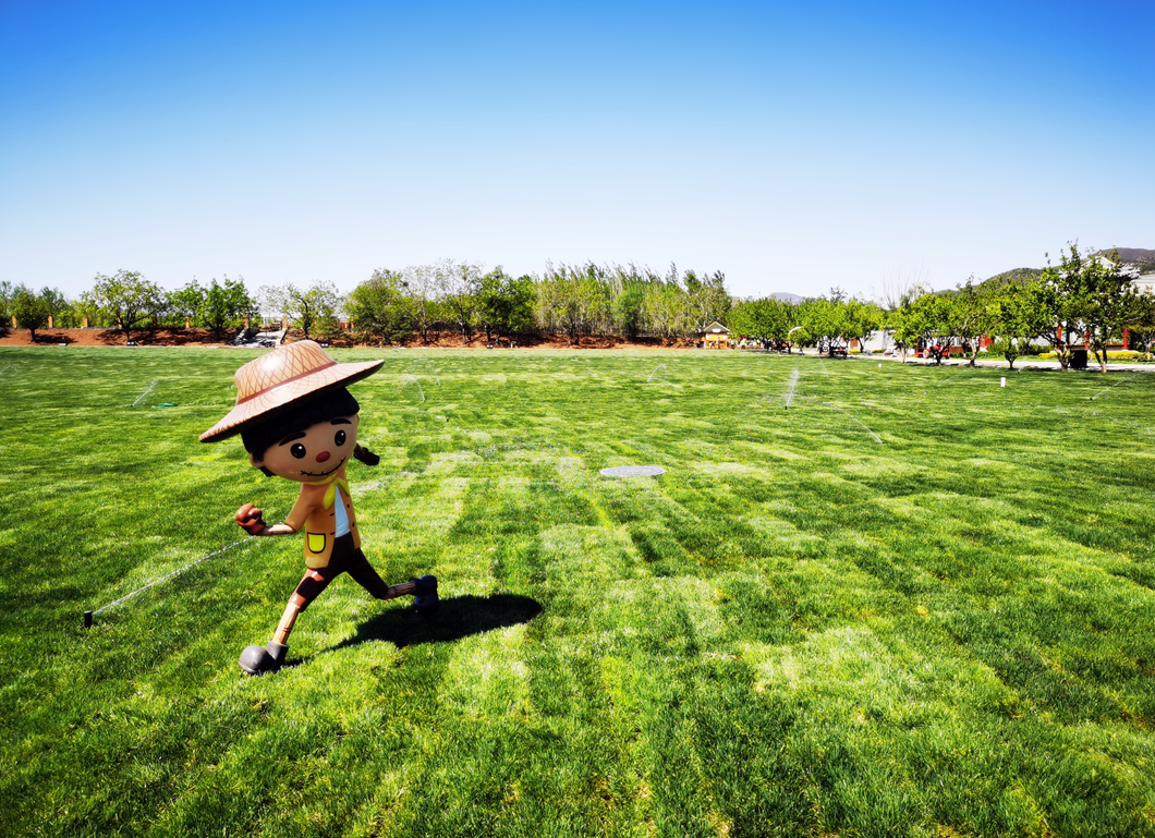 (北京丰台)绿野仙踪·郊野公园-19.