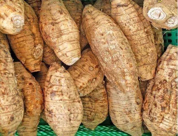 【盈香】高明粉葛10斤(广东省内顺丰包邮)