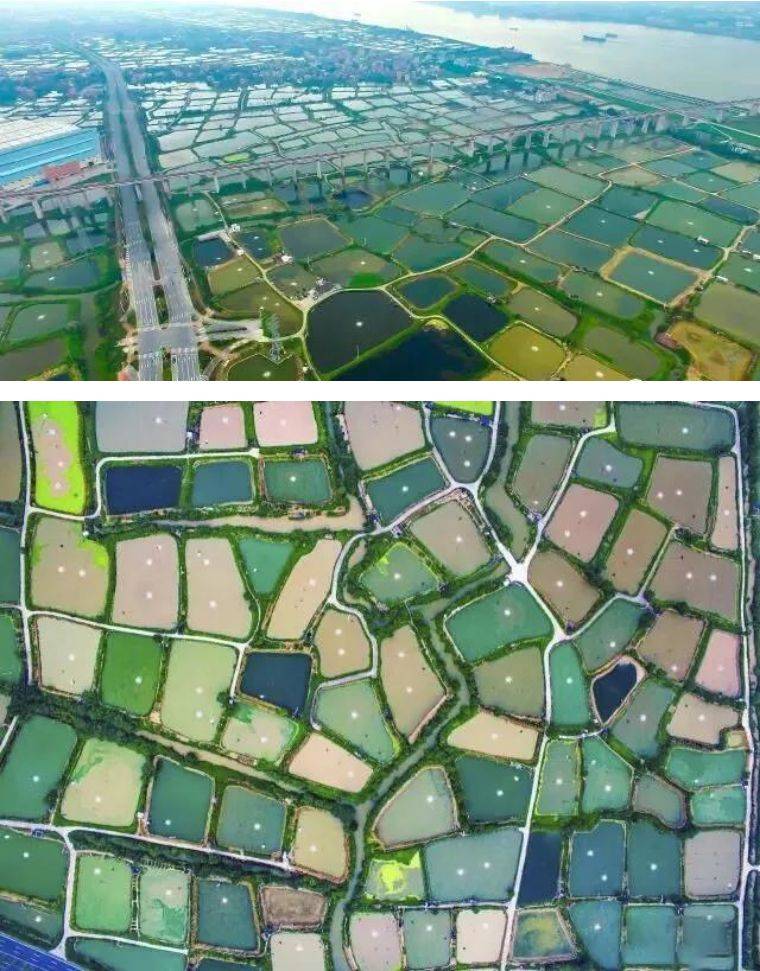 一派诗情画意时隐时现的叶叶小舟满塘基畔的桑林,小桥流水人家让我们