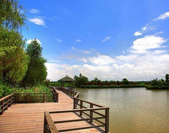 广州南沙永乐绿色生态农庄