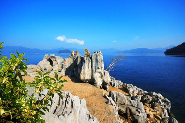千岛湖桂花岛