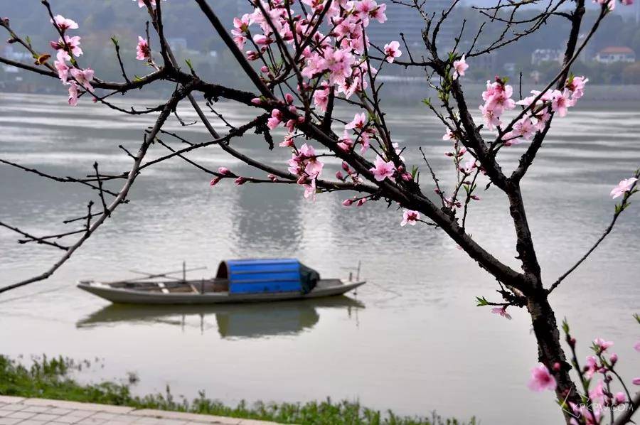 苏州太湖桃花岛