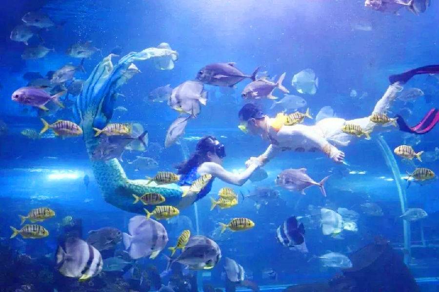 【长沙】梅溪海立方环游城儿童票【预订成功1小时后方可使用】