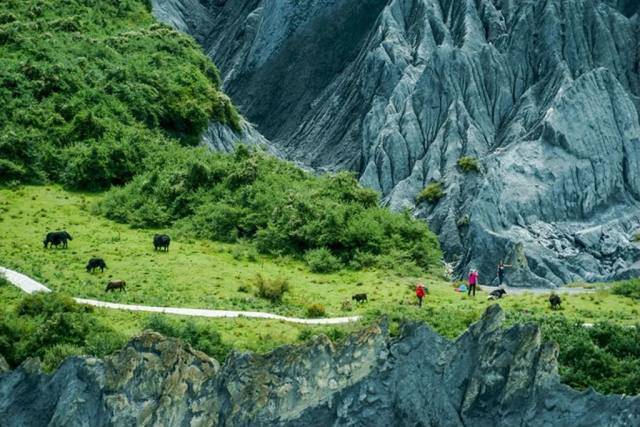 成都景区门票 新都桥墨石公园 地址:四川省甘孜藏族自治州道孚县215