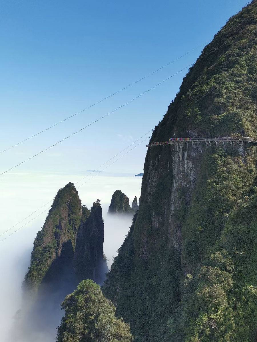 莽山五指峰景区门票含往返索道成人票东门进东门出