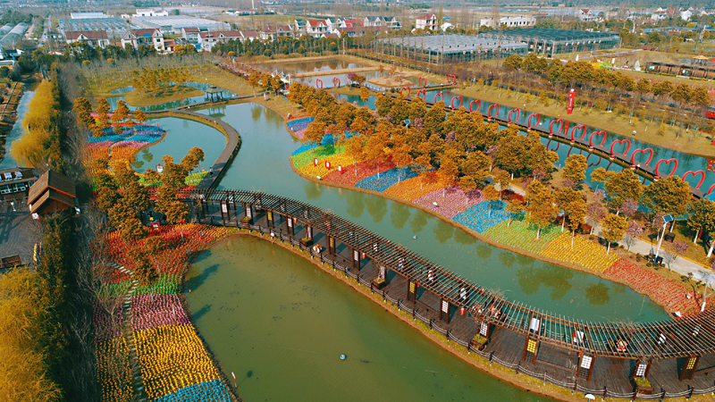 上海崇明十大旅游景点图片