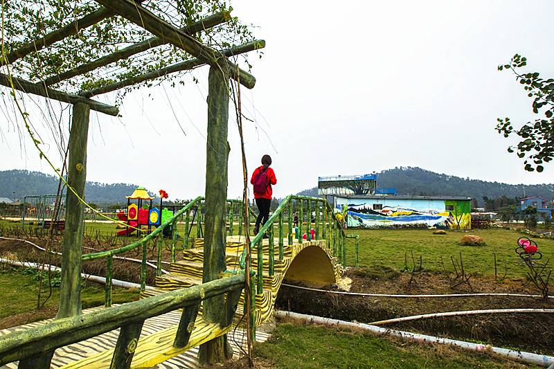 【採摘季】58元搶2大1小珠海斗門逸豐生態園採摘節套票~賞花海~摘蔬菜