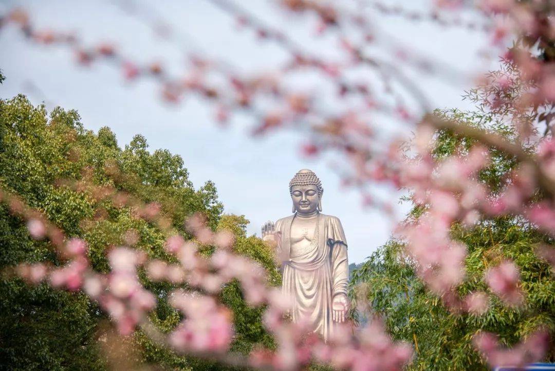 【暑期大促】無錫靈山大佛特惠單人票(至少提前1天購買;國慶節期間不