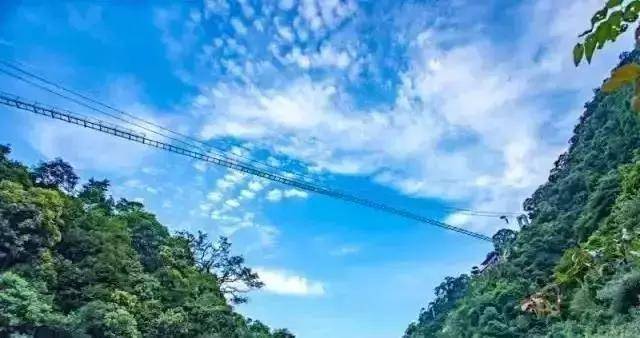 b套餐:廉江田園寨-大門票 玻璃橋(成人票)