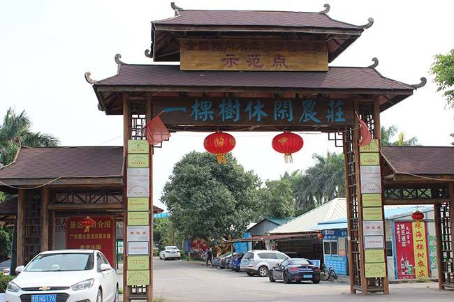 8公里处·白蕉镇鹤洲东(江珠高速路口)一棵树休闲农庄内 公交路线