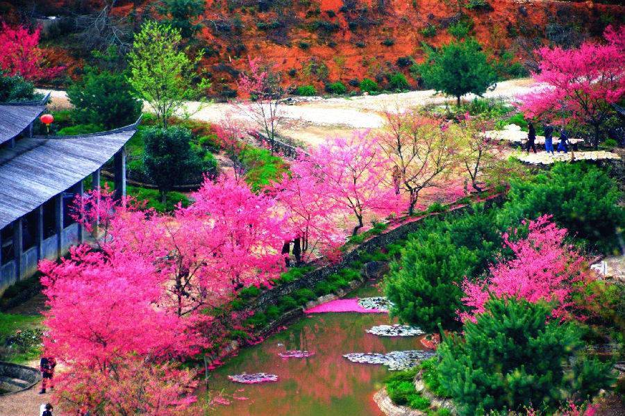 韶关新丰樱花峪成人票已售