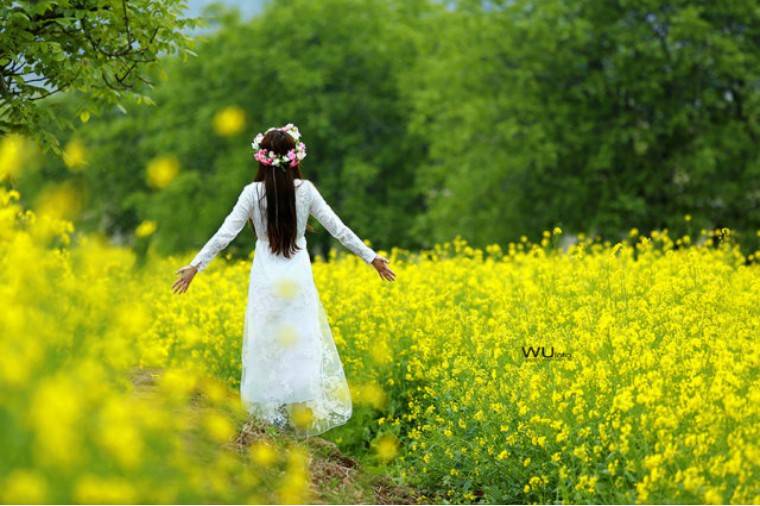 【广东佛山】油菜花报春啦!只需19.