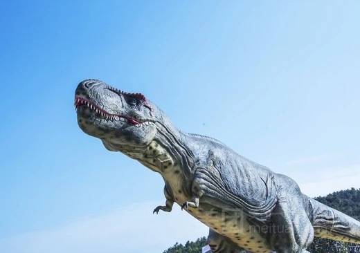 2.7折抢购铜仁恐龙乐园 农夫山泉工业园游玩套餐!38.